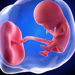 成都三大助孕公司介绍，2026有需求进来看