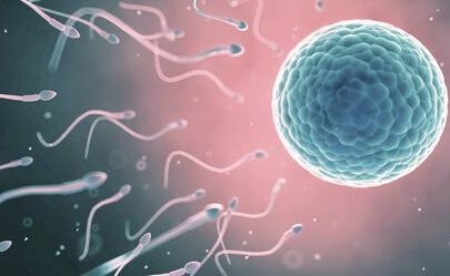 肇庆助孕机构全搜罗，目前独家提供试管婴儿服务，一目了然