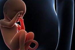 2026年马来西亚试管三代试管生孩医院流程(马来西亚的试管技术怎么样？