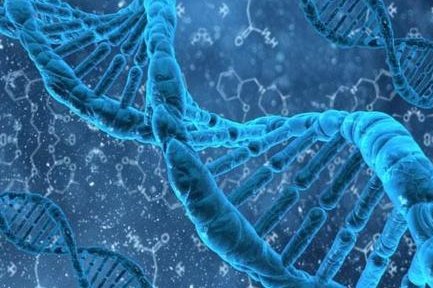 2026年湖北试管费用是否可通过医保报销？专家解答