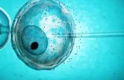 三代试管囊胚3bc成功率高吗？三代试管囊胚3bc的成功率高吗？